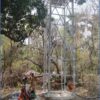 Adani Foundation at ACC Sindri enables clean drinking water access through solar power in 4 Dhanbad villages